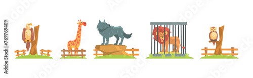 Zoo Animal and Wild Fauna Behind Fence Vector Set
