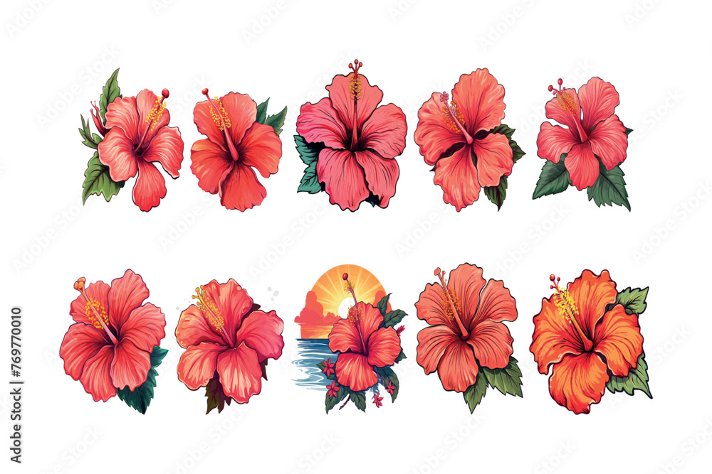 Set of flowers collection Set of flowers collection
