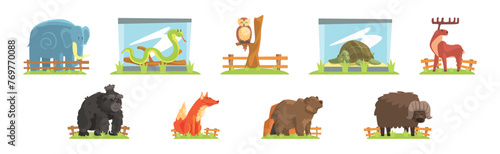 Zoo Animal and Wild Fauna Behind Fence Vector Set