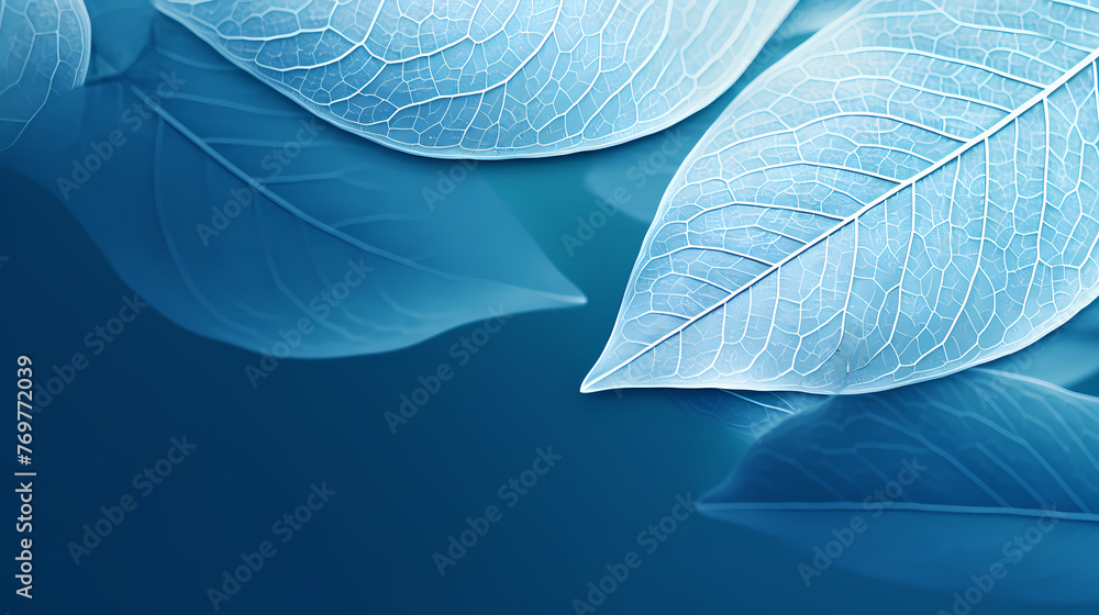 minimalist abstract leaves minimalist abstract leaves