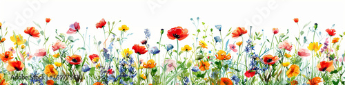 Artistic illustration of vibrant poppies, wildflowers with a soft, pastel sky banner backdrop © MAJGraphics