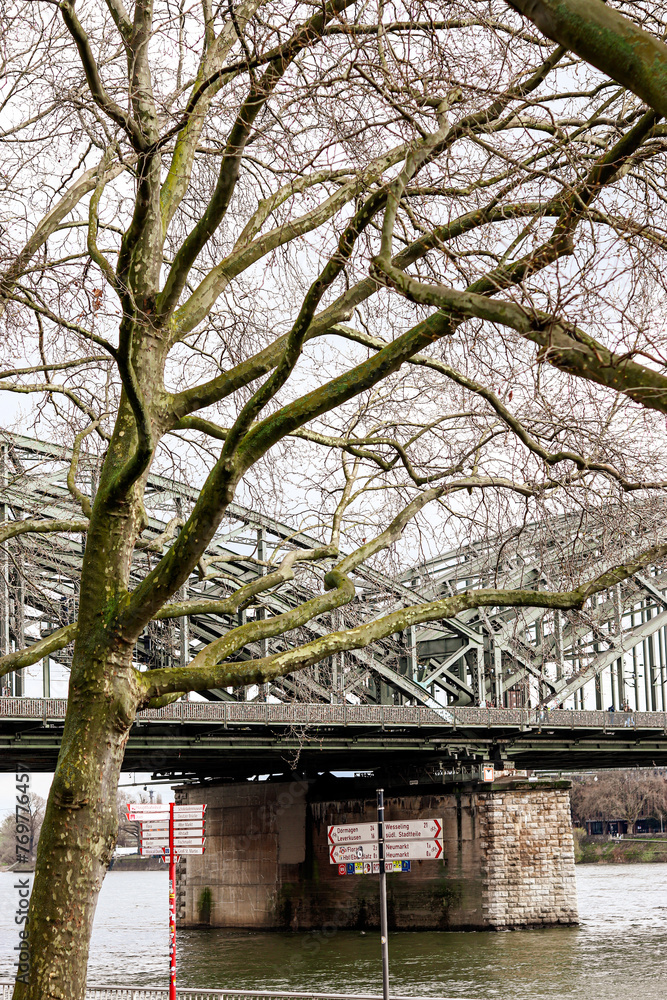 On a steel bridge over the river, red trains run obscured by tree branches On a steel bridge over the river, red trains run obscured by tree branches