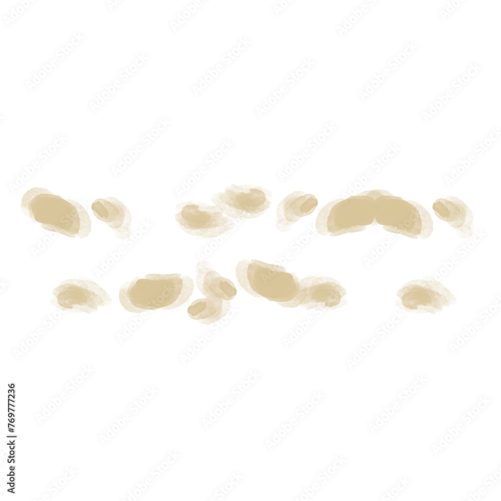 seeds isolated on white seeds isolated on white