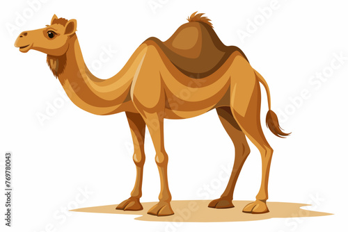 realistic high detailed camel full body isolated o © Nayon Chandro Barmon