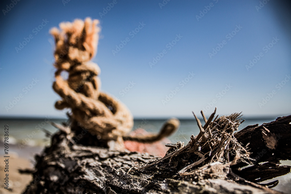 A branch and peeled bark of a dry tree close-up against the background of a rope, sea and sky	
