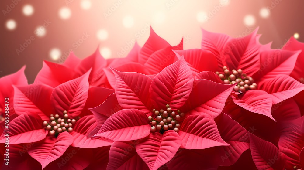 Poinsettia flower with copy space Poinsettia flower with copy space