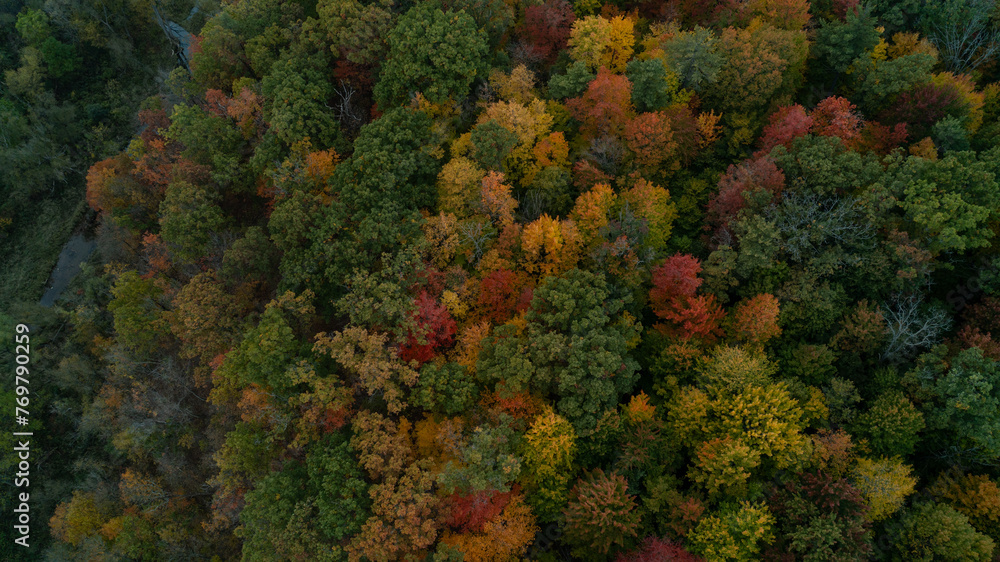 Naklejka premium An aerial view of a colorful fall Forest and Valley with a creek running through it