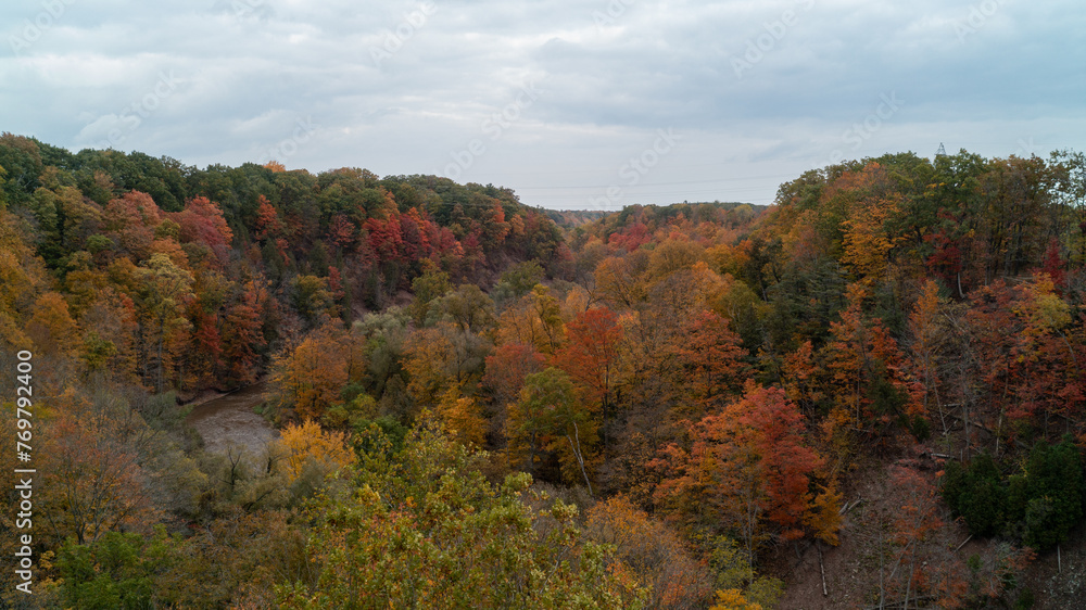 Fototapeta premium An aerial view of a colorful fall Forest and Valley with a creek running through it