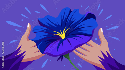  Deep indigo petals of a butterfly pea flower are gently being crushed between two fingers releasing a burst of deep blue color. The vibrant hue photo
