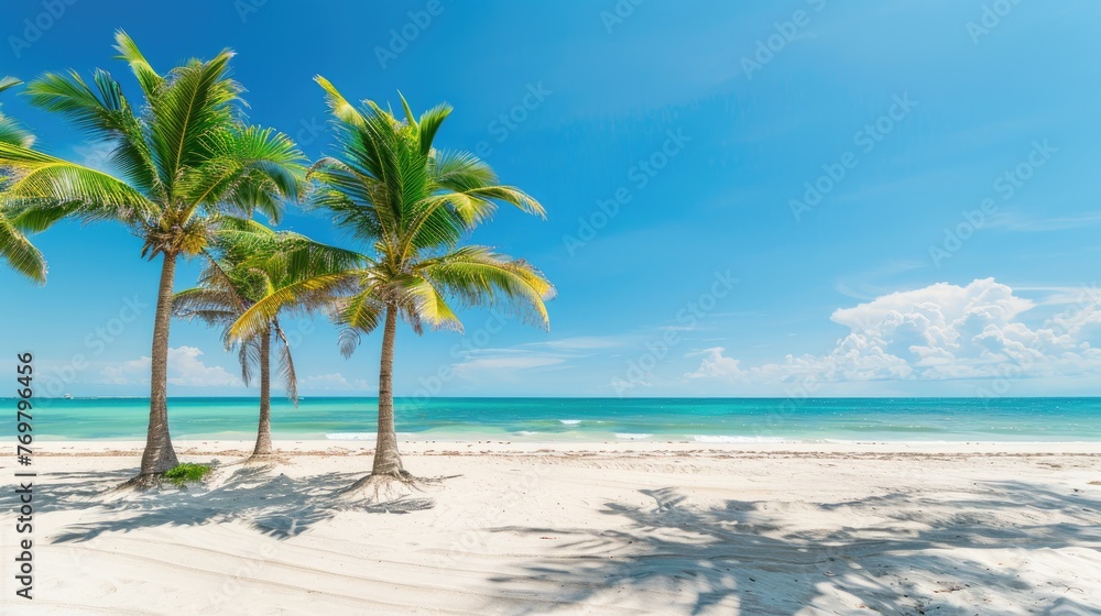 Beautiful palm tree on empty tropical island beach on background blue sky with white clouds and turquoise ocean on a sunny day. The perfect natural landscape for summer vacation, panorama.