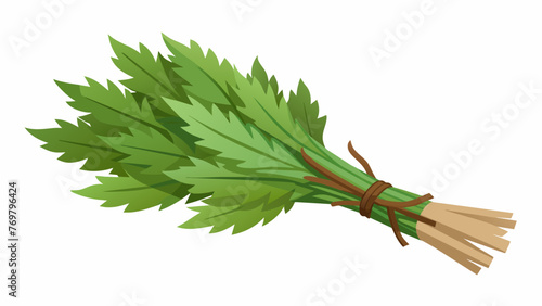  A bundle of dried mugwort leaves often burned in traditional medicine rituals to cleanse and purify the body and spirit.