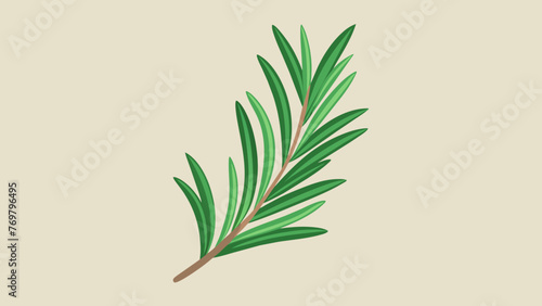  A of fresh rosemary sprigs its needlelike leaves releasing a strong herbaceous aroma. Rosemary is used in herbal remedies to support memory and