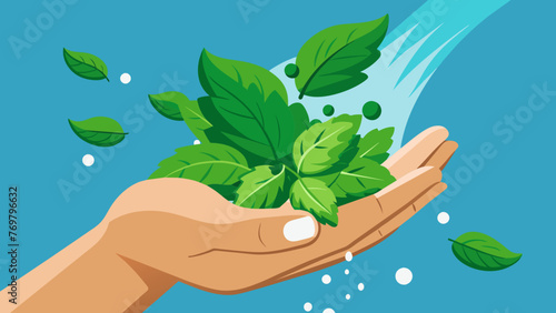 A closeup of a handful of freshly picked green leaves being washed under running water.
