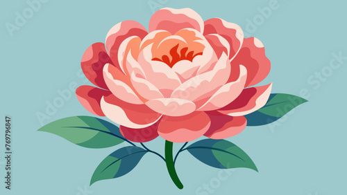  A picture of a beautiful blooming peony flower commonly used in Chinese traditional medicine for its calming and painrelieving properties.