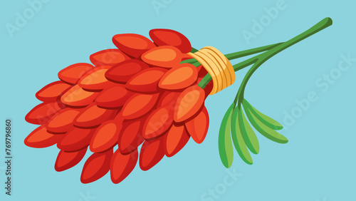  A bundle of dried goji berries renowned in Chinese traditional medicine for their antioxidant properties and as a remedy for visual impairment.
