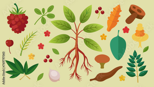  A traditional medicine practitioners collection of dried roots berries and leaves each carefully labeled and organized for easy access during