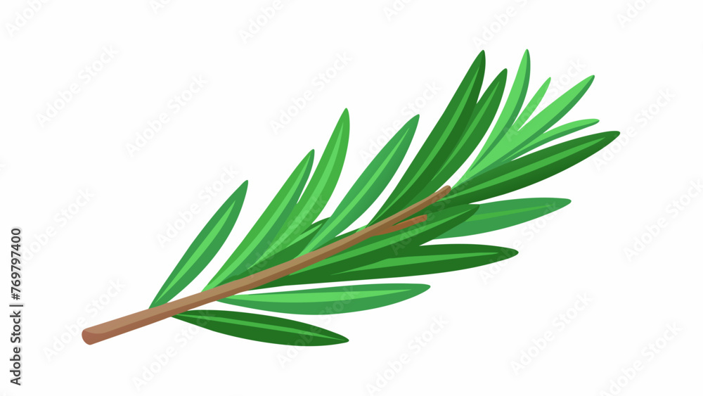 A stack of fragrant rosemary sprigs often used in aromatherapy to promote mental clarity and improve memory function. A stack of fragrant rosemary sprigs often used in aromatherapy to promote mental clarity and improve memory function.