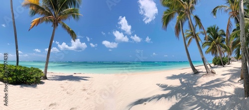 Beautiful palm tree on empty tropical island beach on background blue sky with white clouds and turquoise ocean on a sunny day. The perfect natural landscape for summer vacation, panorama. © inthasone