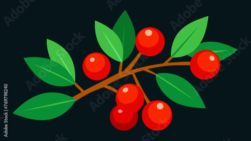  An upclose image of vibrant red berries growing on a shrub known for their healing properties in indigenous cultures.