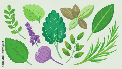  A collection of freshlypicked herbs and leaves including mint thyme and lavender carefully washed and laid out on a table.