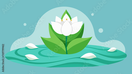  Delicate white petals rest atop a mound of soft wispy green leaves a delicately balanced natural remedy in the midst of the waters cleansing