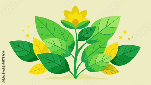  A thick leafy plant with bright yellow flowers representing the use of natural herbal remedies and the power of minerals found in plants.