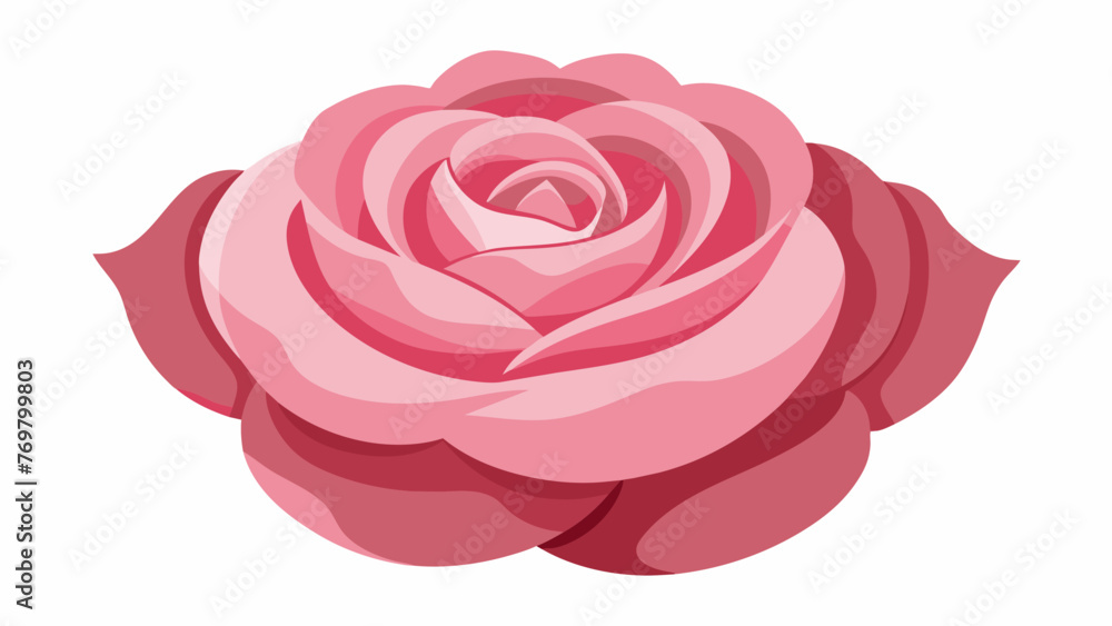 A closeup of the delicate petals of a pink rose suggesting the use of floral remedies in traditional medicine for emotional healing. A closeup of the delicate petals of a pink rose suggesting the use of floral remedies in traditional medicine for emotional healing.
