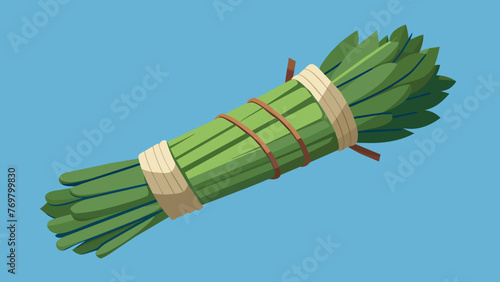  A bundle of sage tied with twine and ready to be used for cleansing and purifying in traditional medicine practices.