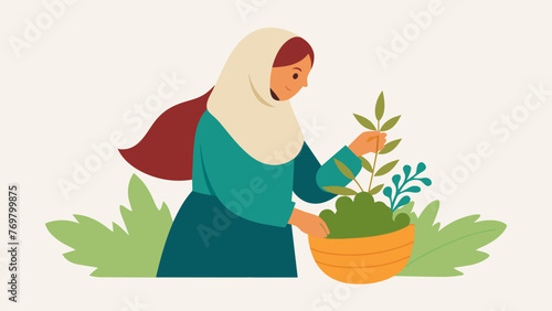  A woman with a traditional headscarf and woven basket dd over one arm is crouched down delicately plucking leaves from a plant with her other