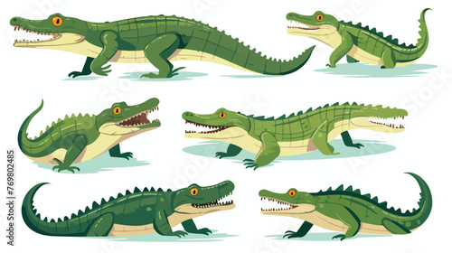 Collection of crocodiles predatory amphibian animal