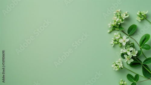 White flowers and green leaves arranged on a background with space for text. photo