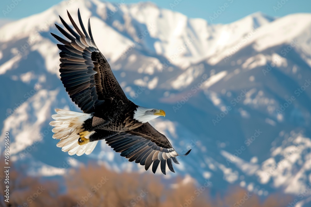 Obraz premium eagle in flight with snowcapped mountains in the background