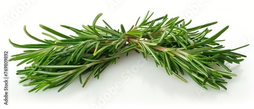  A sprig of rosemary on a white background with a clipping mask to the top of the sprig