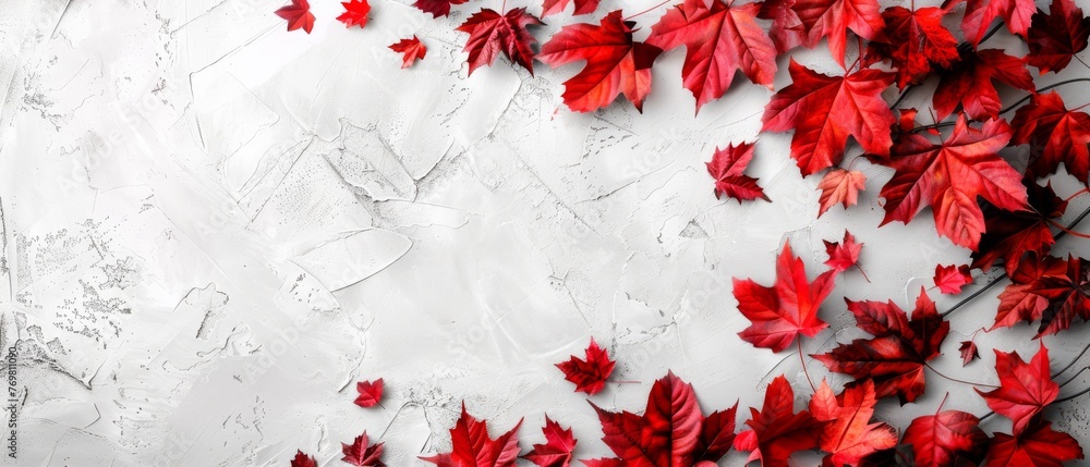   A collection of scarlet foliage against a backdrop of white and gray, featuring room for text or graphics - obrazy, fototapety, plakaty 