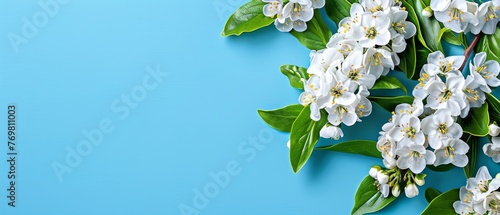  Bouquet of white flowers with green leaves on a blue background Add text overlay
