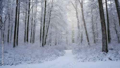 Peaceful Snow Covered Forest In Winter Serene T