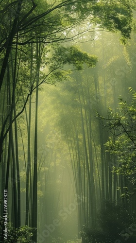 A vertical panorama of a dense bamboo forest  its towering green canopy filtering ethereal light  evokes tranquility and grandeur.