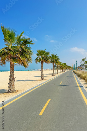 bike path with palm trees along Kite beach in Dubai, United Arab Emirates