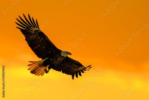 eagle soaring high, yelloworange sky backdrop