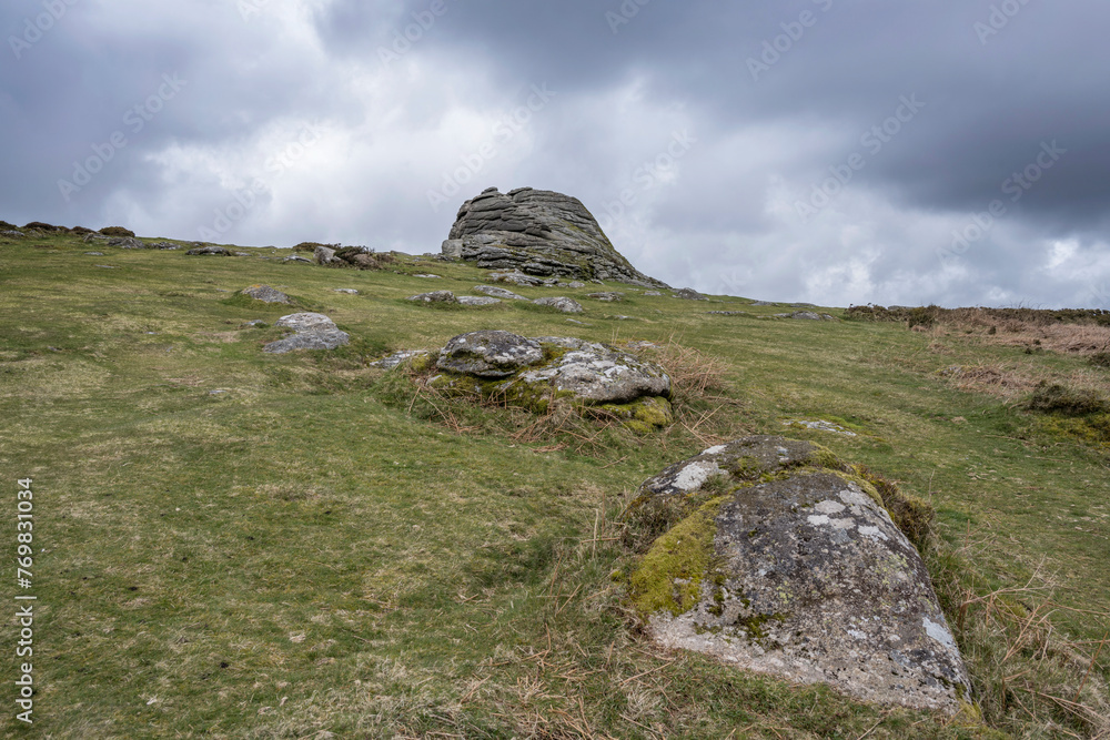 Moody Dartmoor