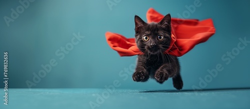 Black Felidae Cat leaps in the air wearing a red cape
