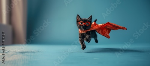 A black dog wearing a electric blue cape and goggles