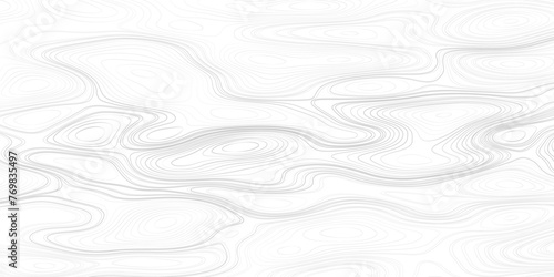Topography map background Grid map Contour Vector illustration. Abstract gray topographic map background illustration