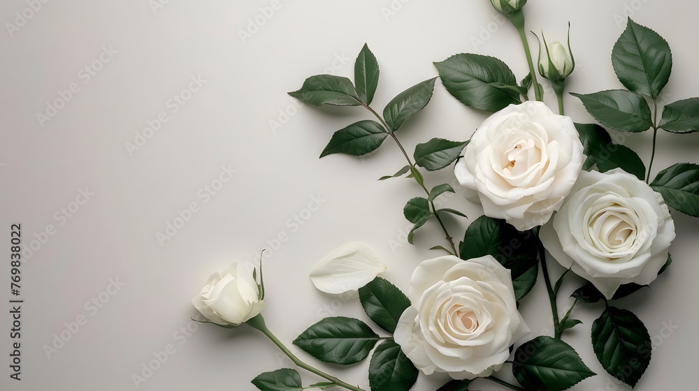 Eternal Bloom: Embracing Nature's Serenity with White Roses and Green Leaves