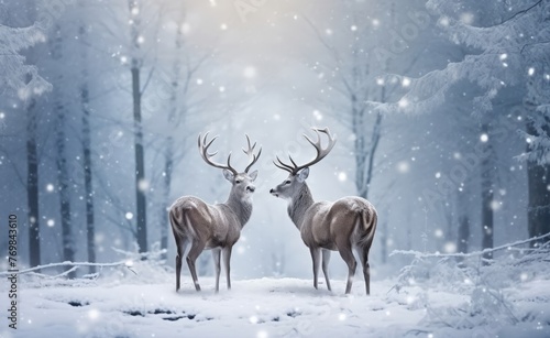 Beautiful deers with large antlers in a winter forest during a snowfall, Christmas concept  © robfolio