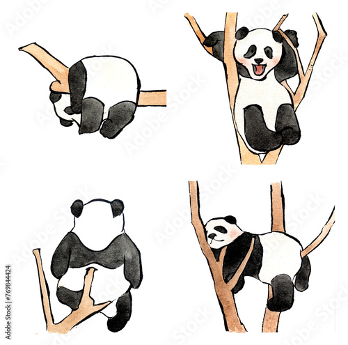 Εκτύπωση καμβά Panda Watercolor Illustration