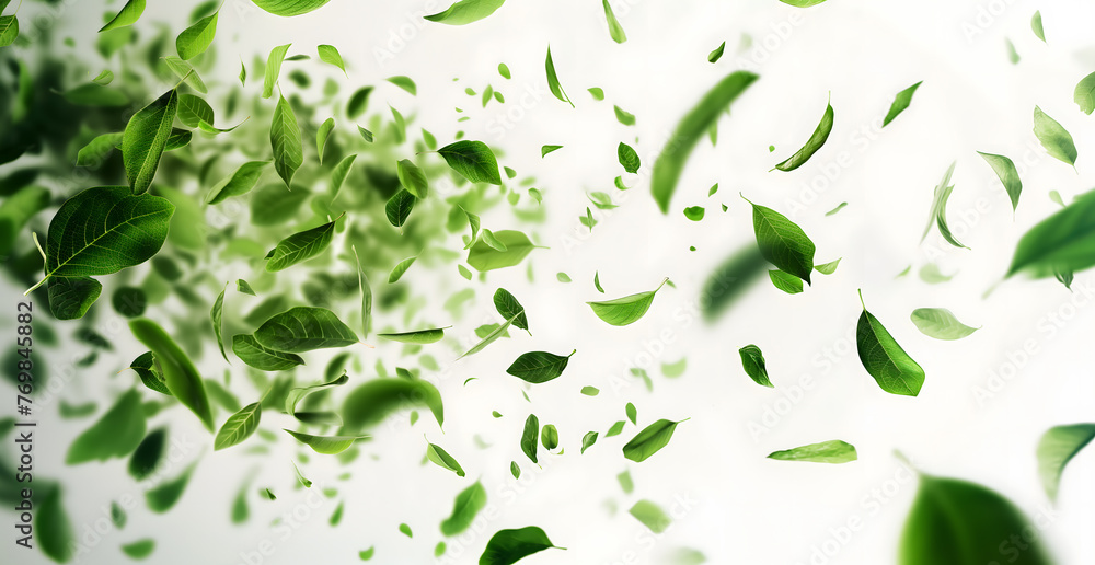 Scattered Green Leaves on a Light Background for Fresh Concepts Scattered Green Leaves on a Light Background for Fresh Concepts