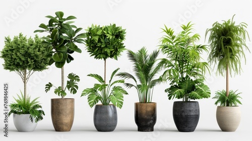 variety of plants in pots on white background