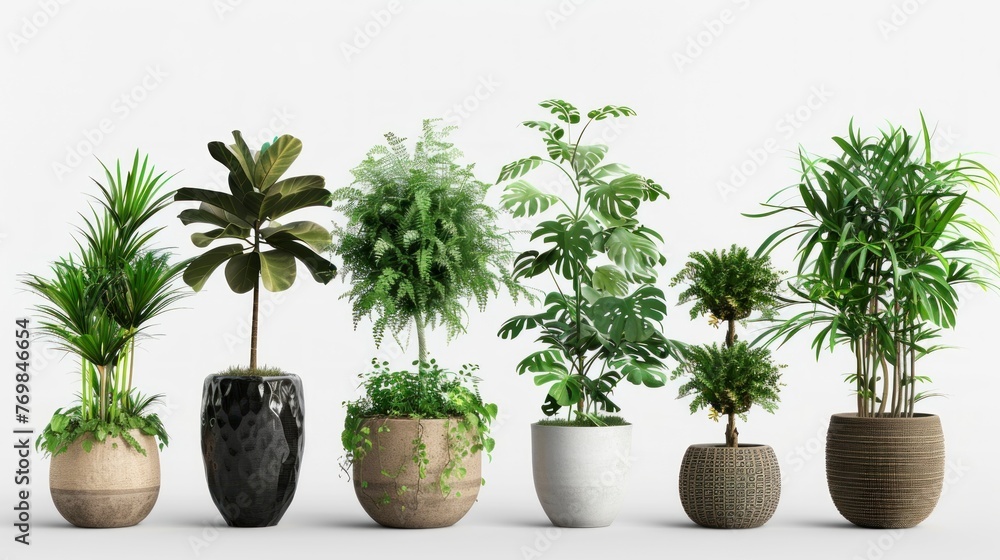 variety of plants in pots on white background in high resolution variety of plants in pots on white background in high resolution
