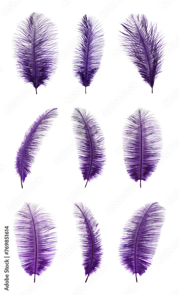 Beautiful purple feathers isolated on white, set Beautiful purple feathers isolated on white, set